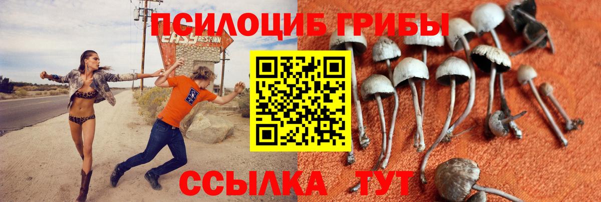 Галлюциногенные грибы мицелий Ртищево